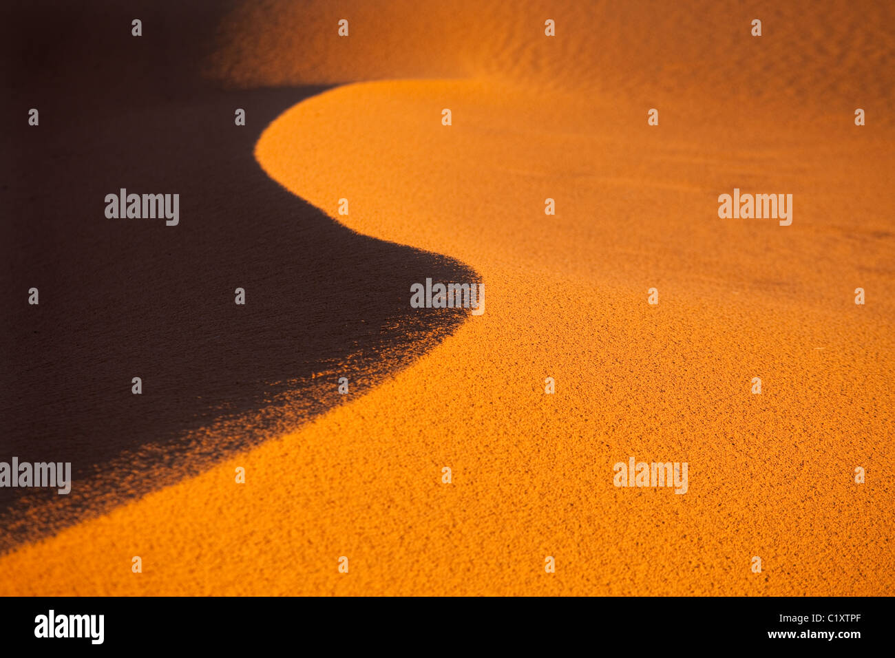 Erg Chebbi Sanddünen entfernt am Rande der Sahara Wüste in Marokko Nordafrika im Morgengrauen Anfang März Stockfoto