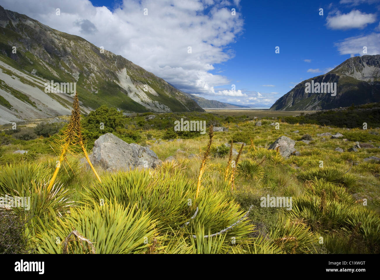 Mount Cook NP, Neuseeland Stockfoto