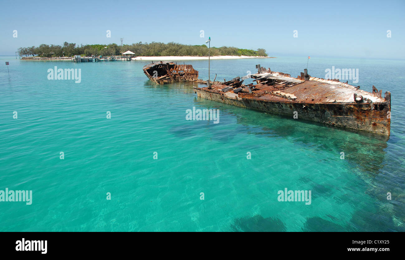 Heron Island aus Gladstone im südlichen Great Barrier Reef ist ein großer Tauchplatz und Forschungsstation der Univ. QLD Stockfoto