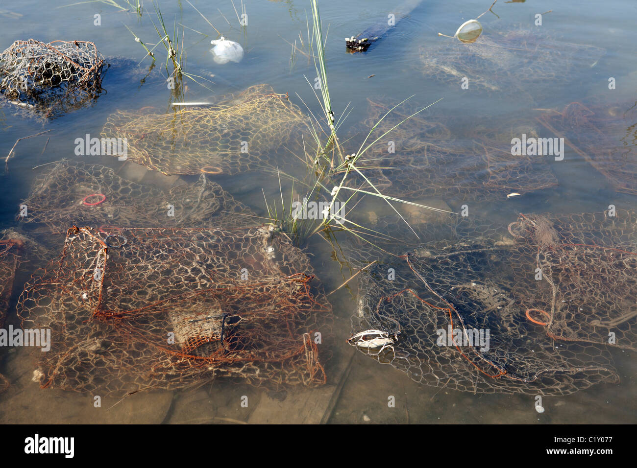 Abgebrochene crab Töpfe in trüben Flachwasser, Ansicht von oben, Chesapeake Bay, Virginia, USA Stockfoto