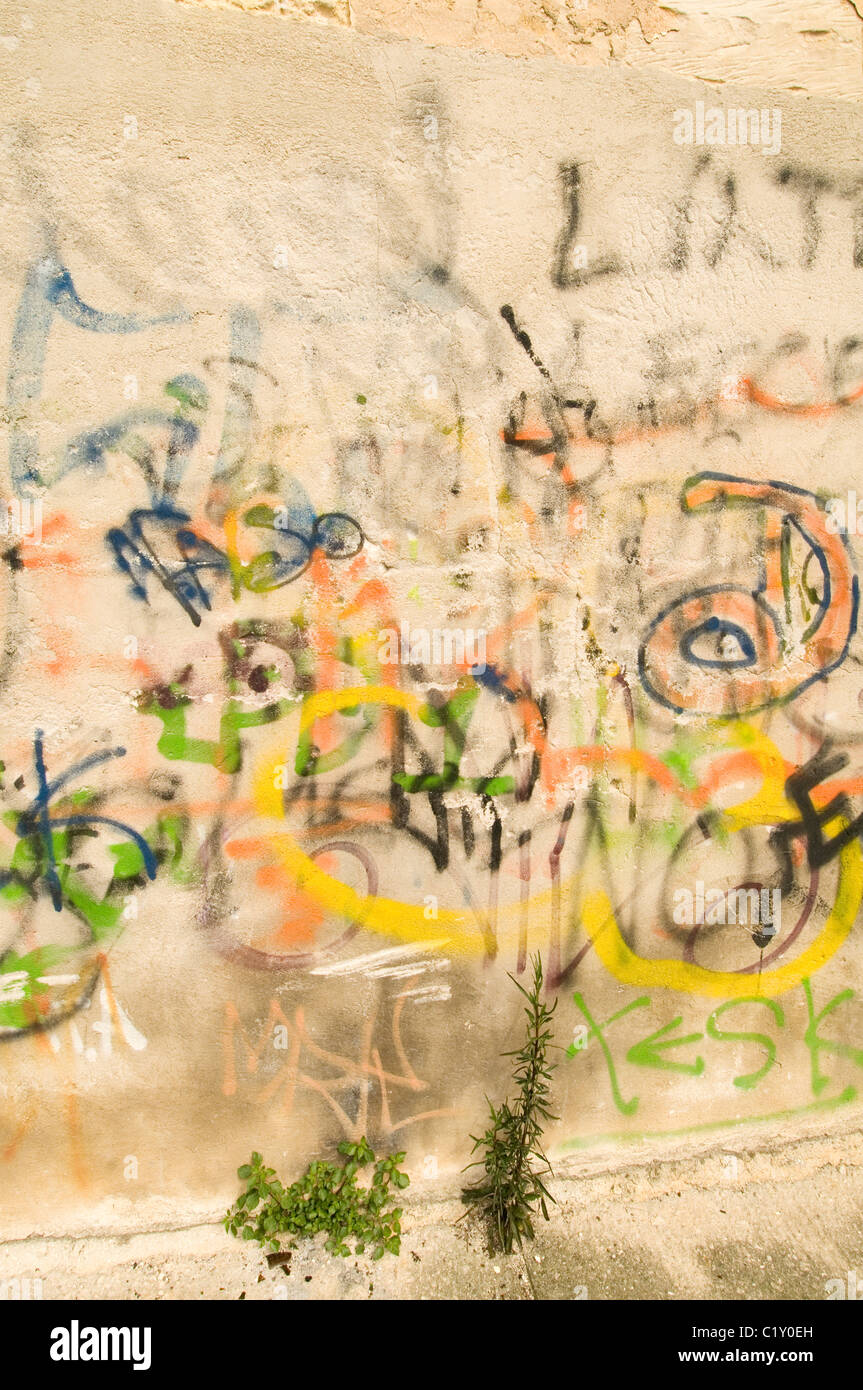 Graffiti, street-Art-Tag Tags tagging Spray Pint gemalt, Bande Kultur Farbe Farbe Farben Künstler künstlerische belästigten vandal Stockfoto