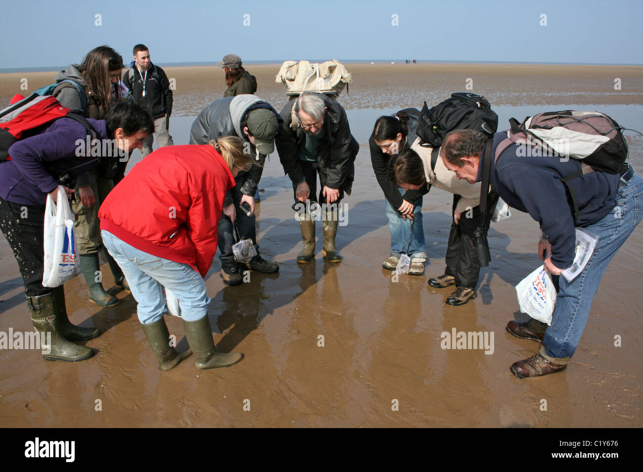 Gruppe der Naturforscher untersuchen Küste Leben an der Küste von Sefton, Merseyside, UK Stockfoto