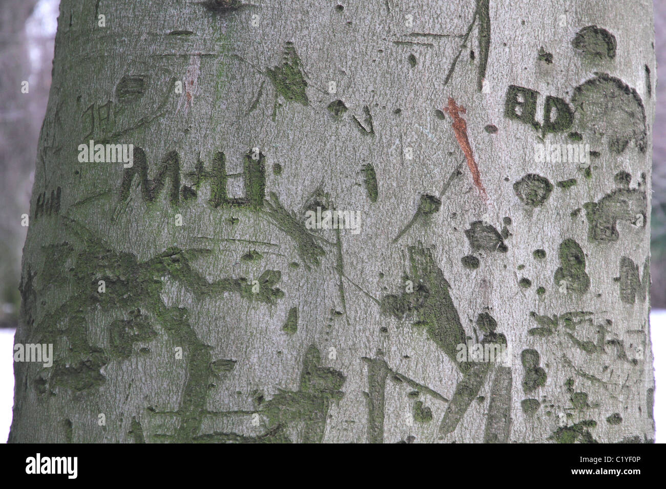 Buchstaben und Symbole in eine missbrauchte Baumstamm geschnitzt Stockfoto