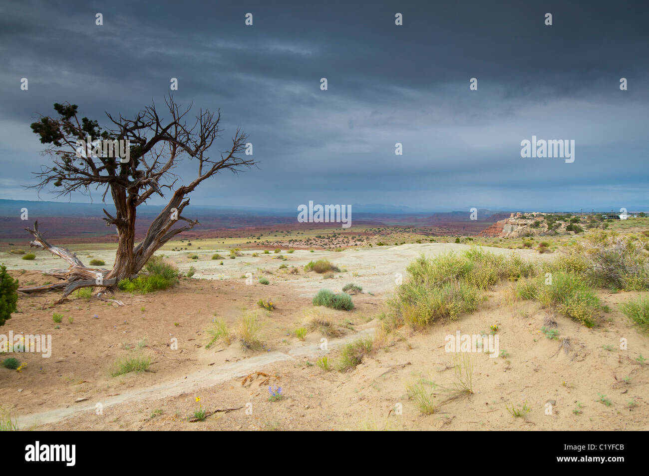 Eine dramatische Landschaft der Wüste Stockfoto