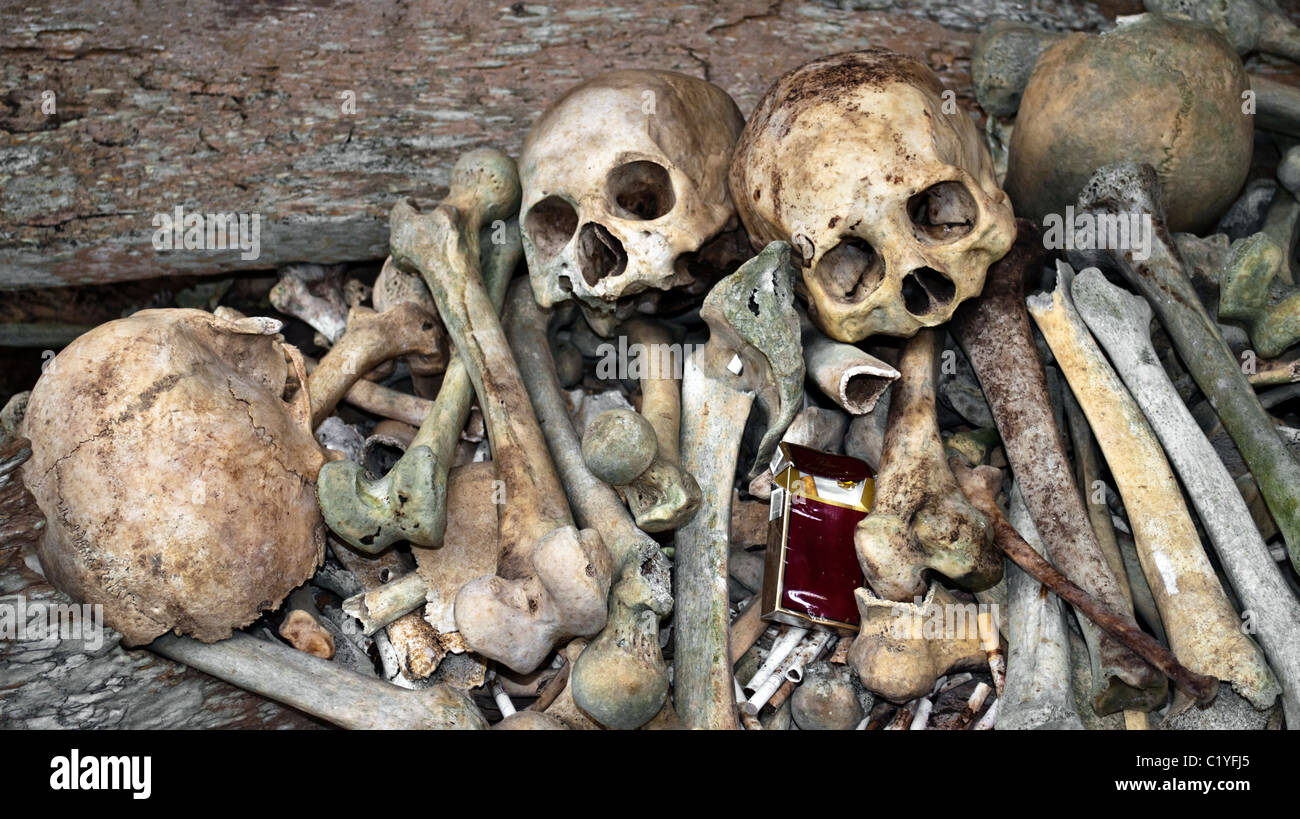 Skelett, Schädel und Knochen mit Zigarettenschachtel, Rauch tötet Stockfoto