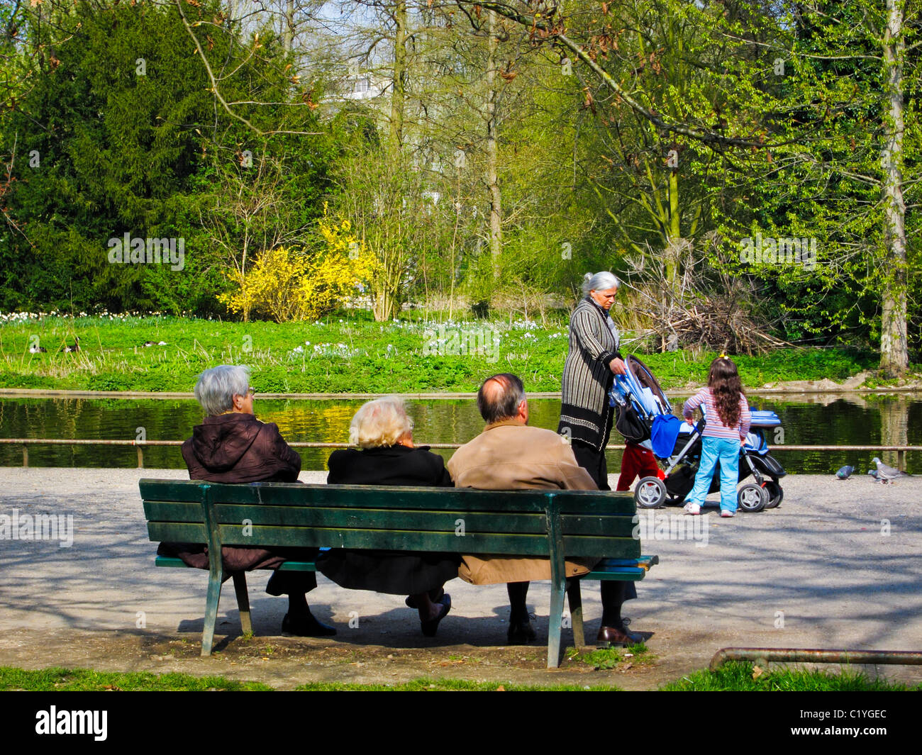 Paris, Frankreich, Senioren sitzen, Leute entspannen auf der Park Bank, von hinten, in Urban Parks, Bois de Vincennes, 'Lac Daumesnil' Senioren Frühling Stockfoto