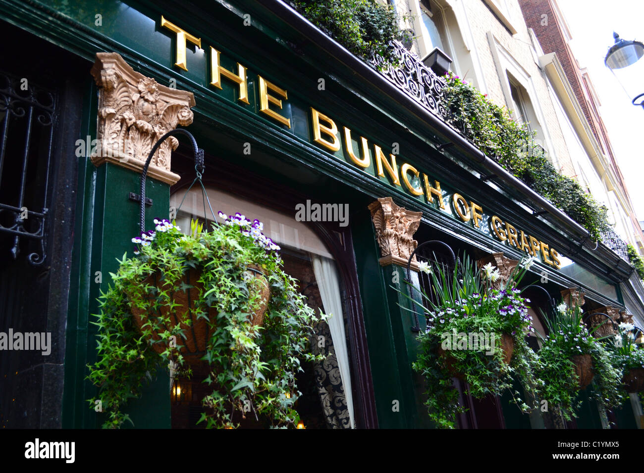 "Die Reihe der Trauben" Kneipe, Knightsbridge, London Stockfoto