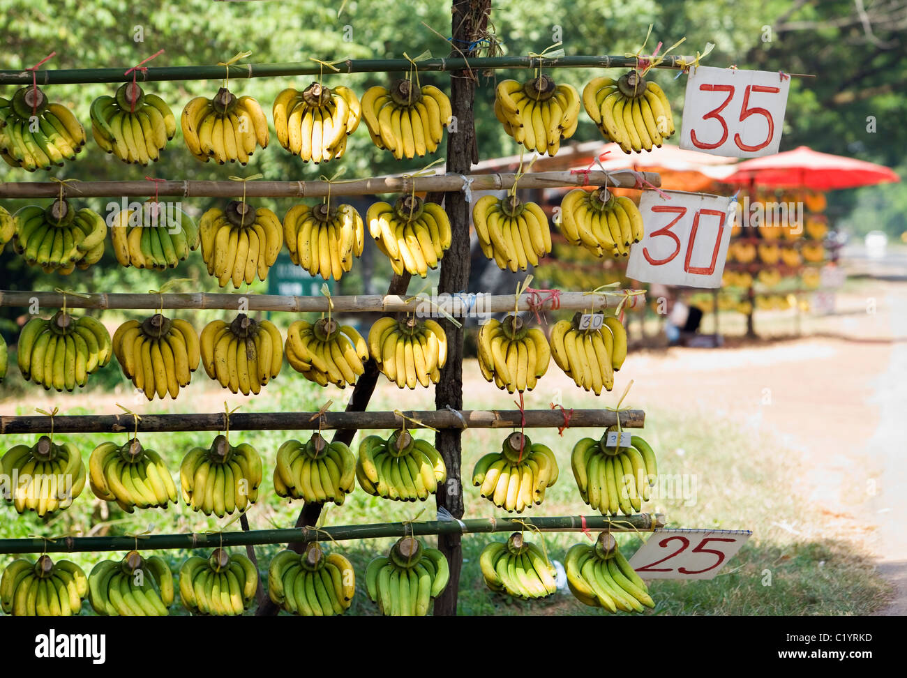 Am Straßenrand Banane Stall in der Nähe von Nong Khai, Provinz Nong Khai, THAILAND. Stockfoto