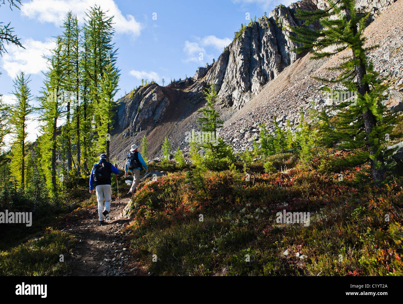 Zwei Männer auf dem Pacific Crest Trail Wandern Harts Pass in der Nähe von North Kaskaden, Washington, USA. Stockfoto