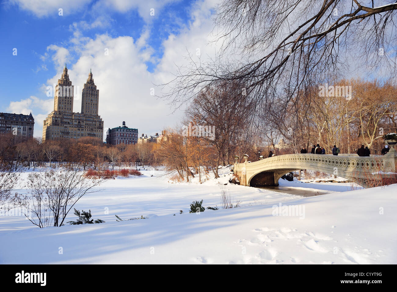 New York City Manhattan Central Park Panorama im Winter mit Eis und Schnee über See mit Brücke, Wolkenkratzer und blau bewölktem Himmel Stockfoto