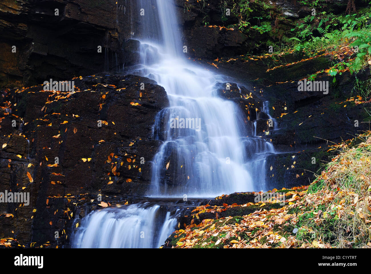 Herbst-Wasserfall in den Bergen von Bushkill Falls in Pennsylvania. Stockfoto