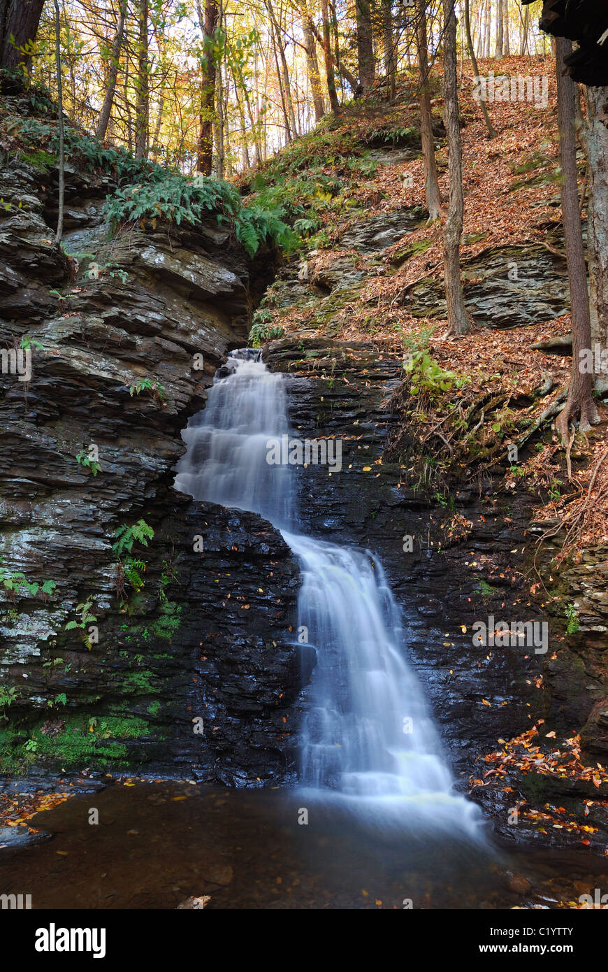 Wasserfall in den Bergen mit Herbstlaub und Wäldern über Felsen. Stockfoto