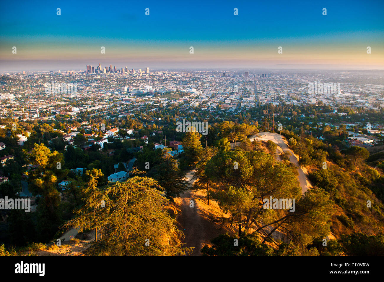 Blick auf die Innenstadt von Los Angeles vom Griffith Park, Los Angeles, Kalifornien Stockfoto