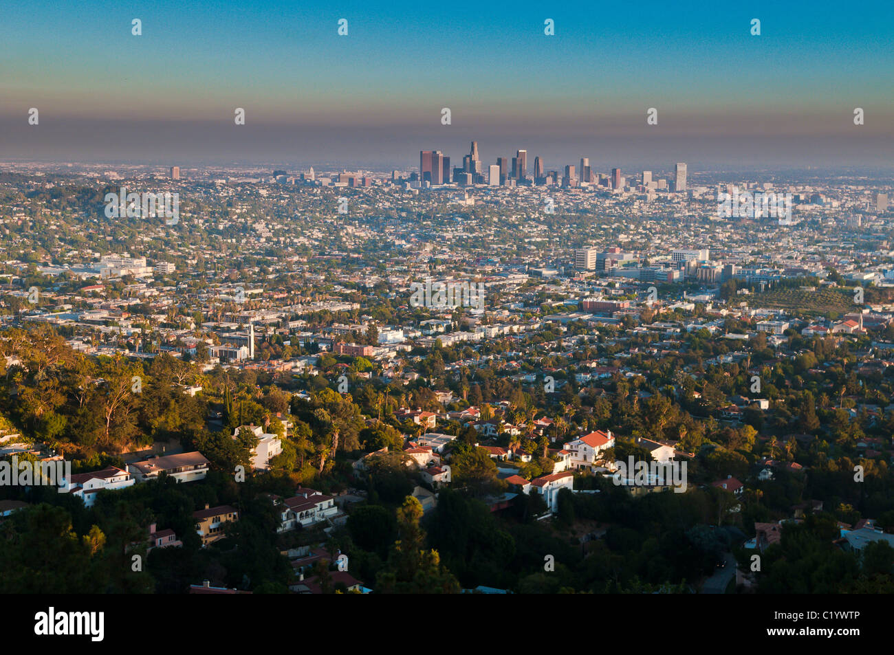 Blick auf die Innenstadt von Los Angeles vom Griffith Park, Los Angeles, Kalifornien Stockfoto