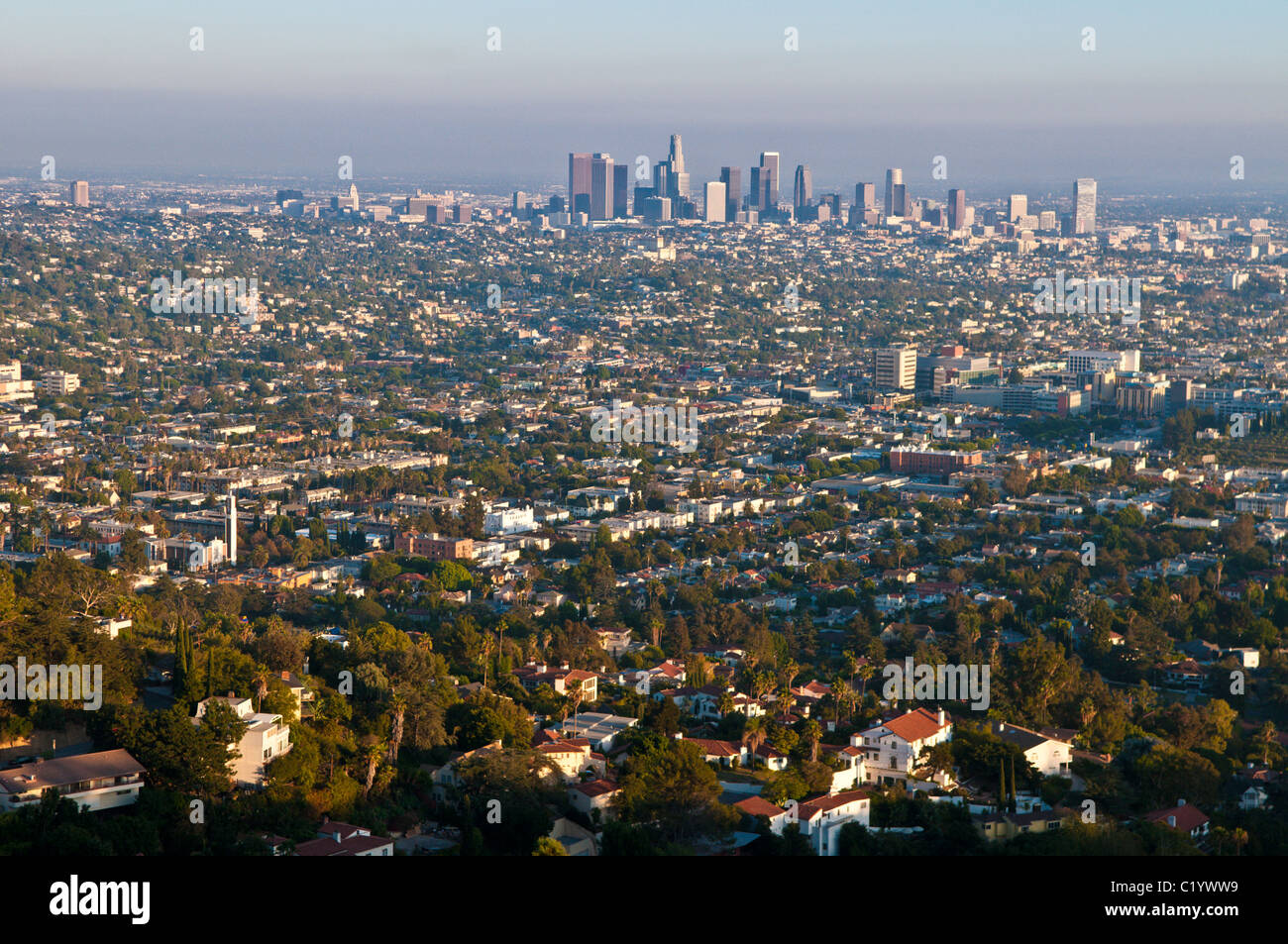 Blick auf die Innenstadt von Los Angeles vom Griffith Park, Los Angeles, Kalifornien Stockfoto