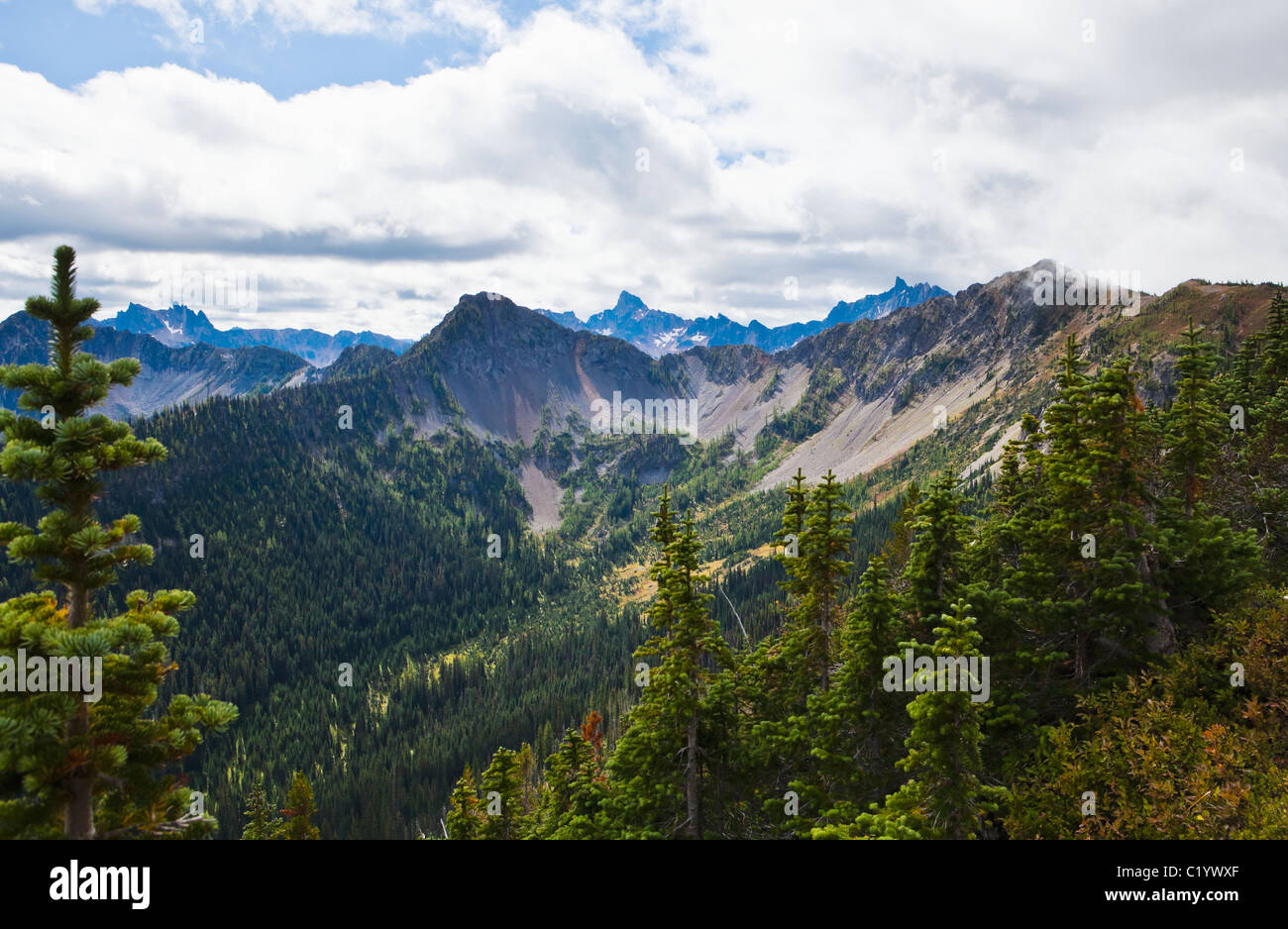 Berge in North Cascade Mountains auf dem Pacific Crest Trail in der Nähe von Harts Pass, Washington, USA. Stockfoto