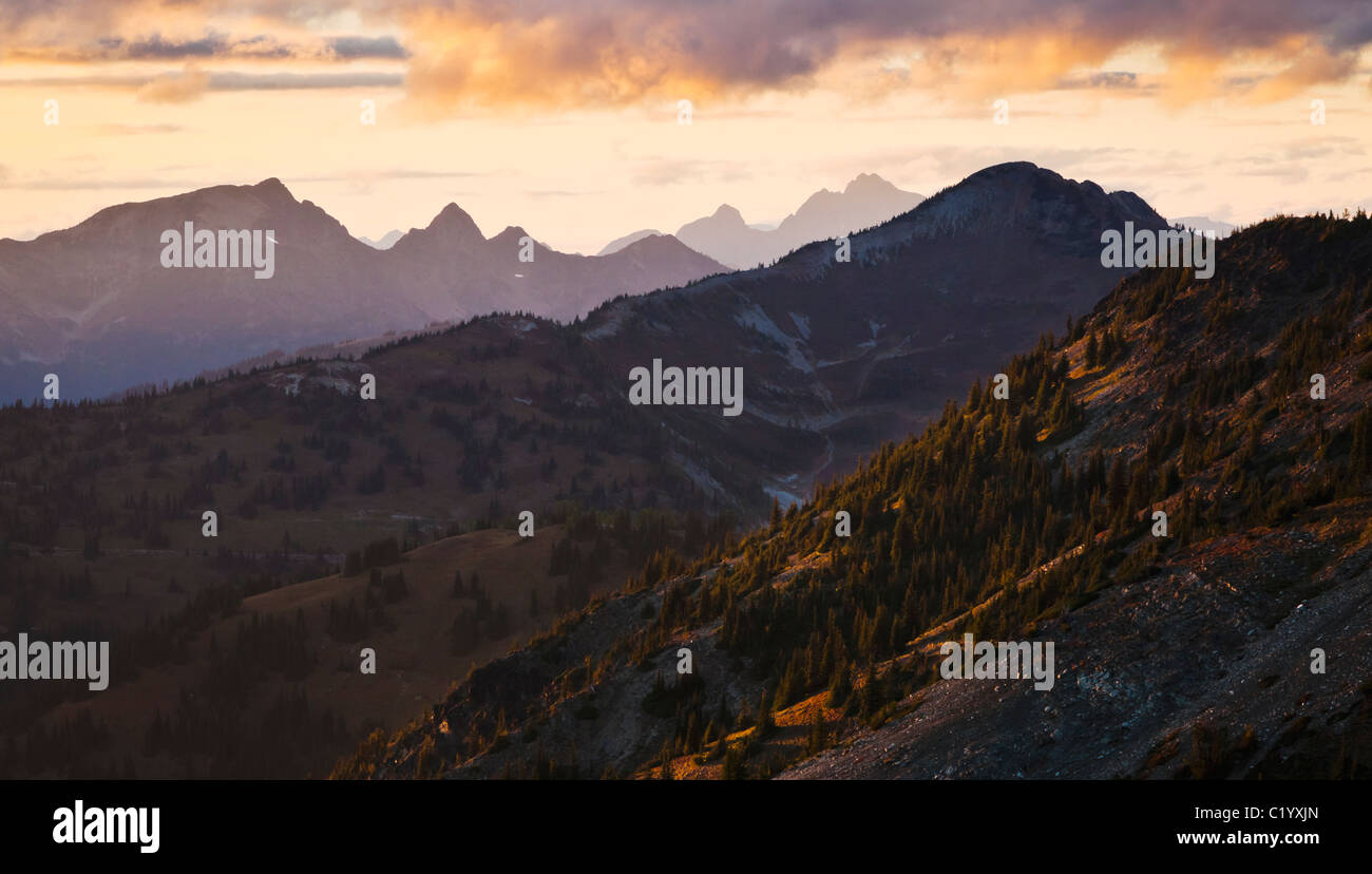 Berggipfel und Grate in den Nord-Kaskaden aus Schiefer Berg in der Nähe von Harts Pass bei Sonnenuntergang gesehen. Washington, USA. Stockfoto