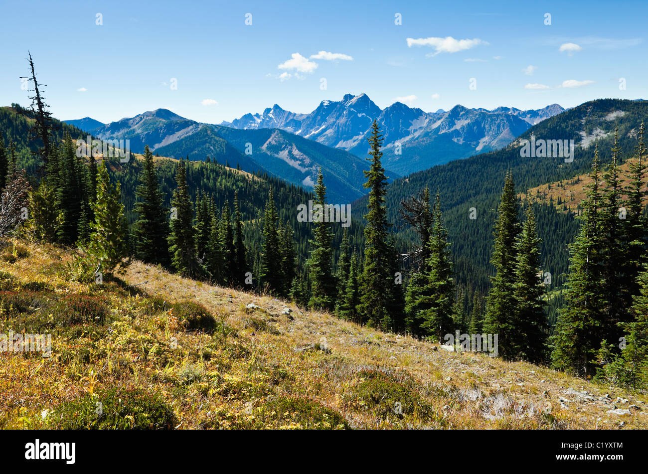 Azurit-Peak und Mount Ballard in den Nord-Kaskaden von Washington State, USA. Von der Pacific Crest Trail betrachtet. Stockfoto
