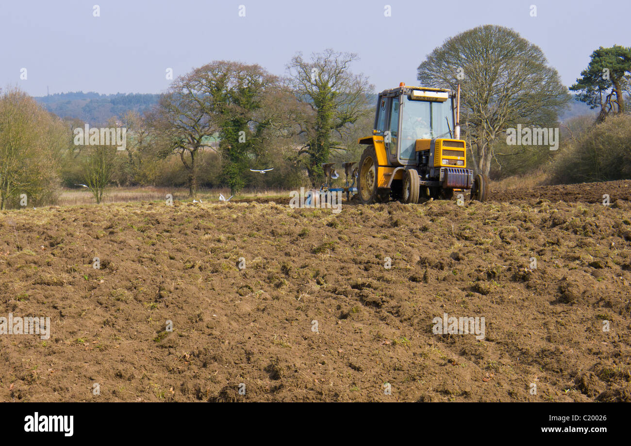 Mann in einem kleinen Traktor ein Feld mit einem Pflug Pflügen. Stockfoto