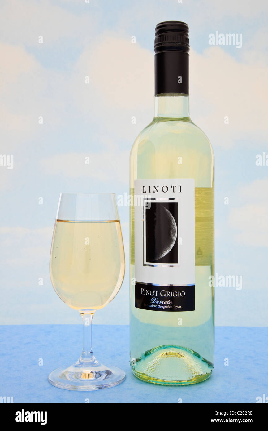 Atelier-Stilleben. Glas Weißwein und eine Flasche Pinot Grigio mit einem Etikett Stockfoto
