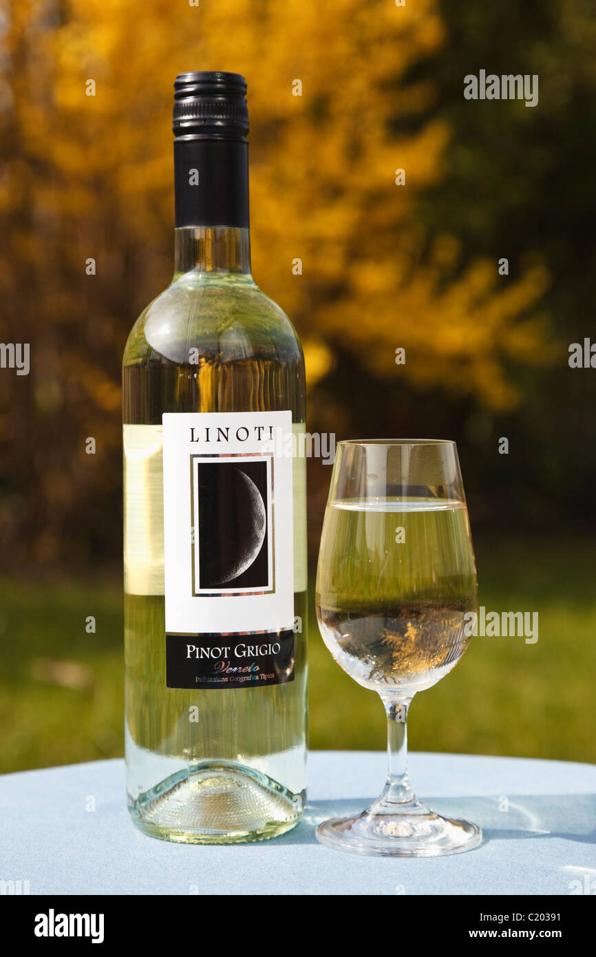 UK, Europa. Glas Weißwein und eine Flasche Pinot Grigio auf einen Tisch draußen in einem Garten im Frühjahr Stockfoto