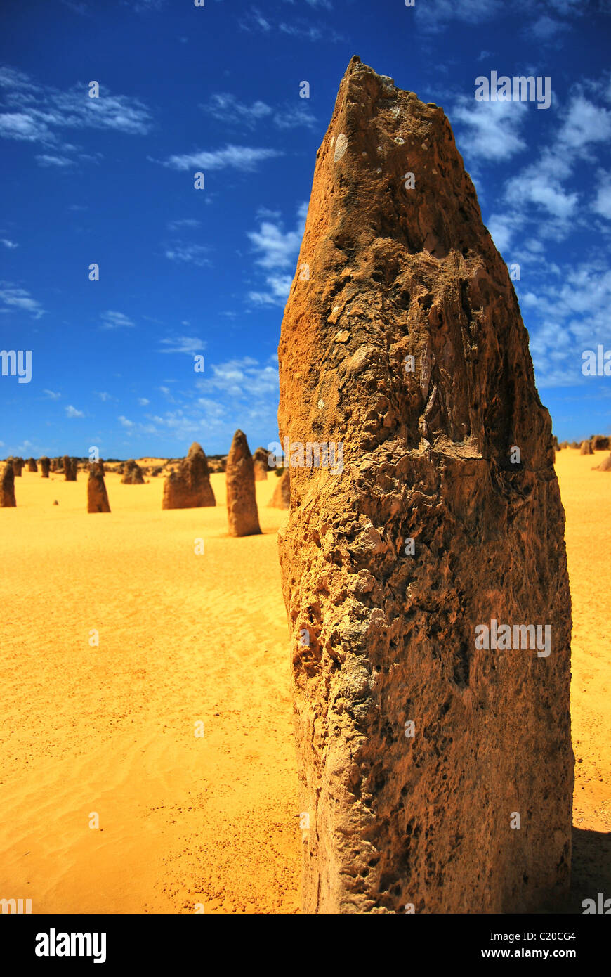 Die Pinnacles, Western Australia, Australia Stockfoto