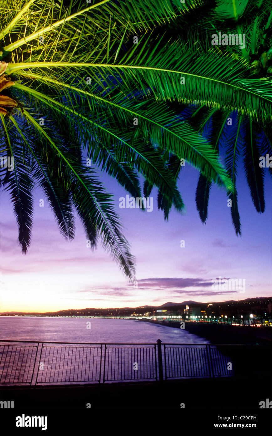 Sonnenuntergang über dem Meer in Nizza mit den beleuchteten Palme Stockfoto