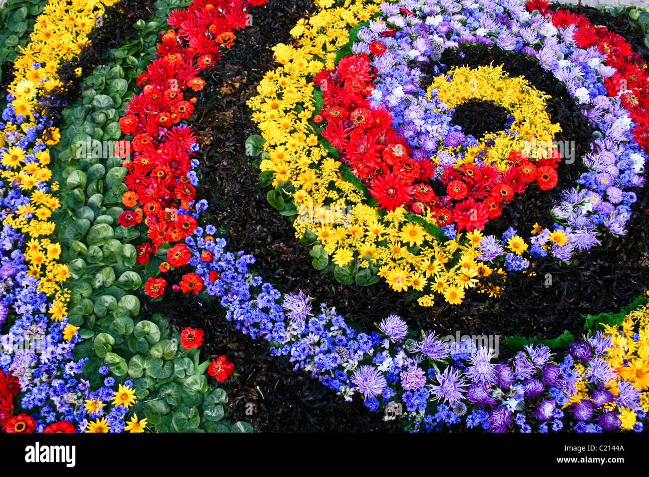 Blumenteppich Stockfoto