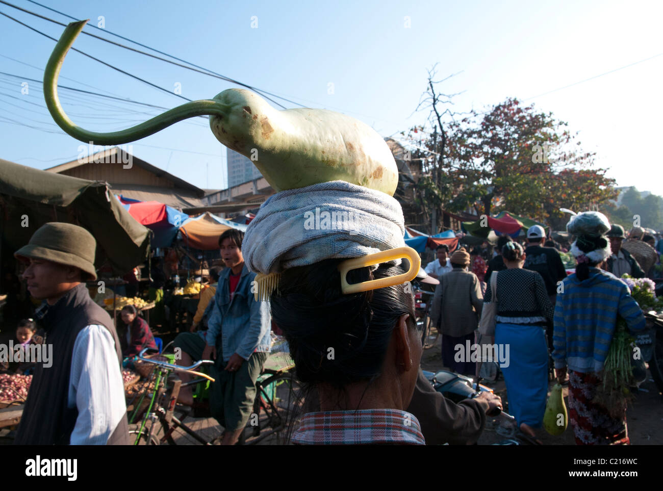 Frau mit großen Gemüse auf dem Kopf.  Zeigyio Markt. Mandalay. Myanmar Stockfoto