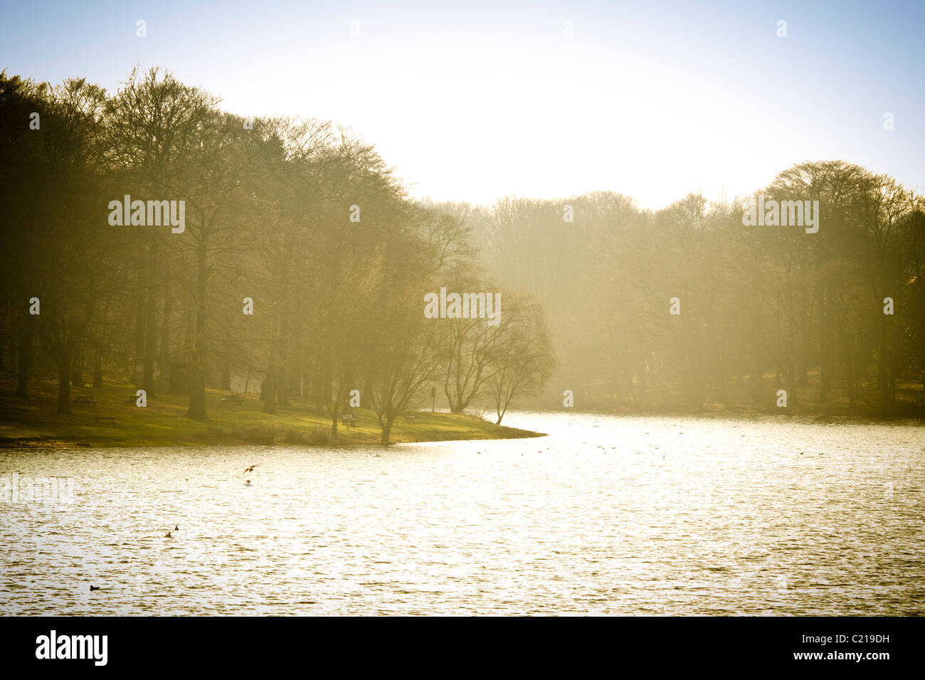 Edgbaston Reservoir im Nebel, Birmingham, West Midlands. Stockfoto