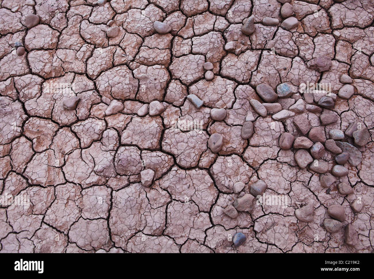 Gebrochene Schlamm und Kies im Arches-Nationalpark, Utah, USA. Stockfoto