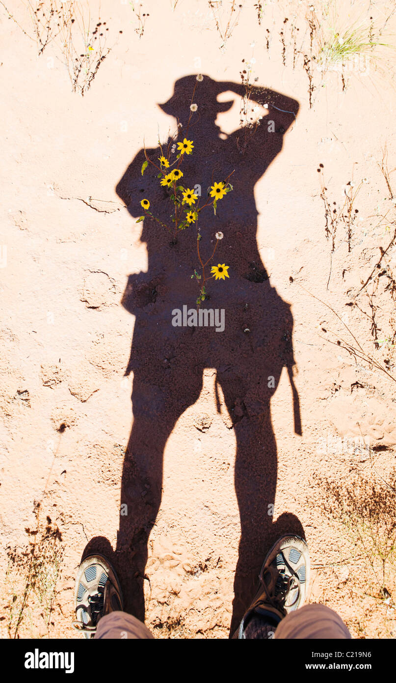 Ein Selbstporträt von Fotografen Schatten mit gelben Blüten im Schatten. Arches-Nationalpark, Utah, USA. Stockfoto