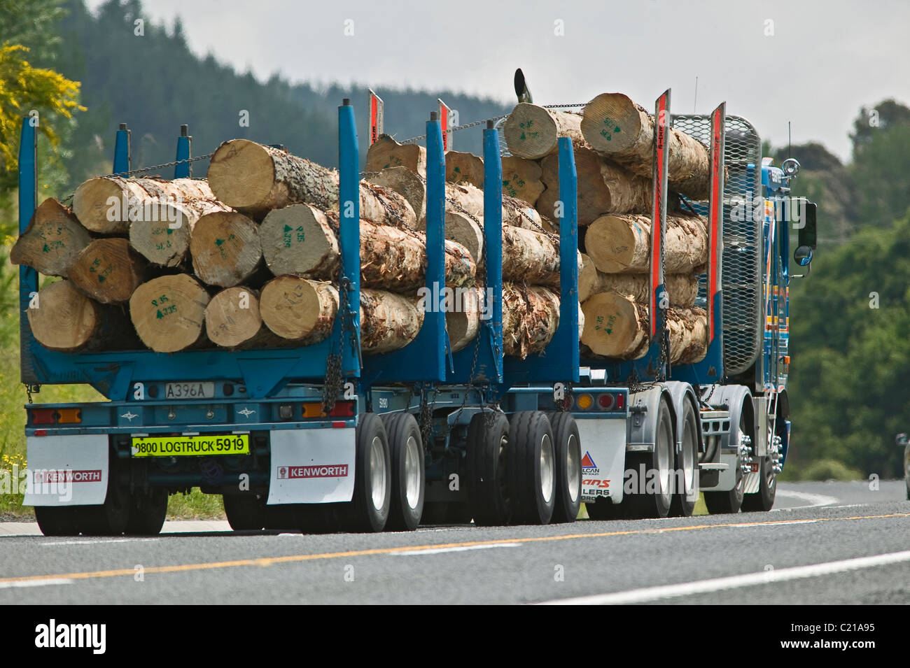Lkw Mit Holz