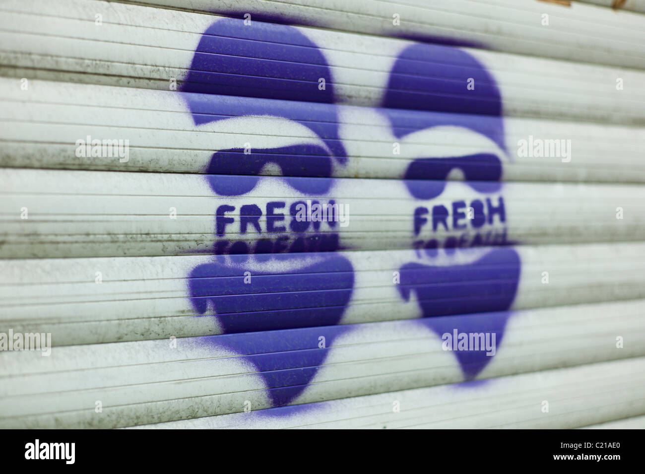 Graffiti an einem Rollladen zeigen Schlepptau identische Köpfe mit Sonnenbrille und "Frische TO DEATH" geschrieben über die Gesichter, München Stockfoto
