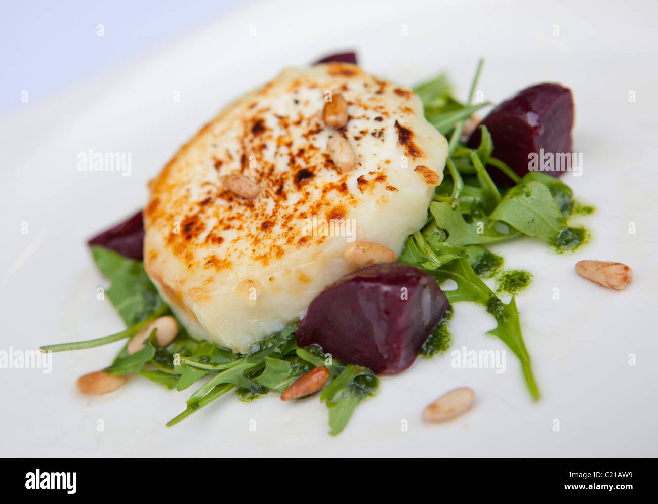 Vorspeise mit Ziegenkäse auf einem Bett von Rucola mit rote Beete, Pinienkernen und Pesto-dressing Stockfoto