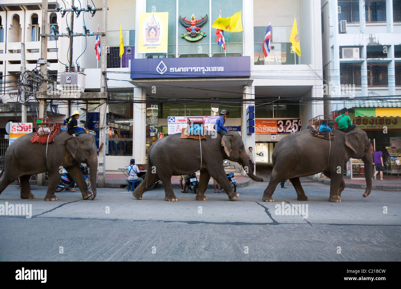 Elefant-Taxis auf den Straßen von Surin während des jährlichen Festivals der Elephant Roundup.  Surin, Surin, Thailand Stockfoto