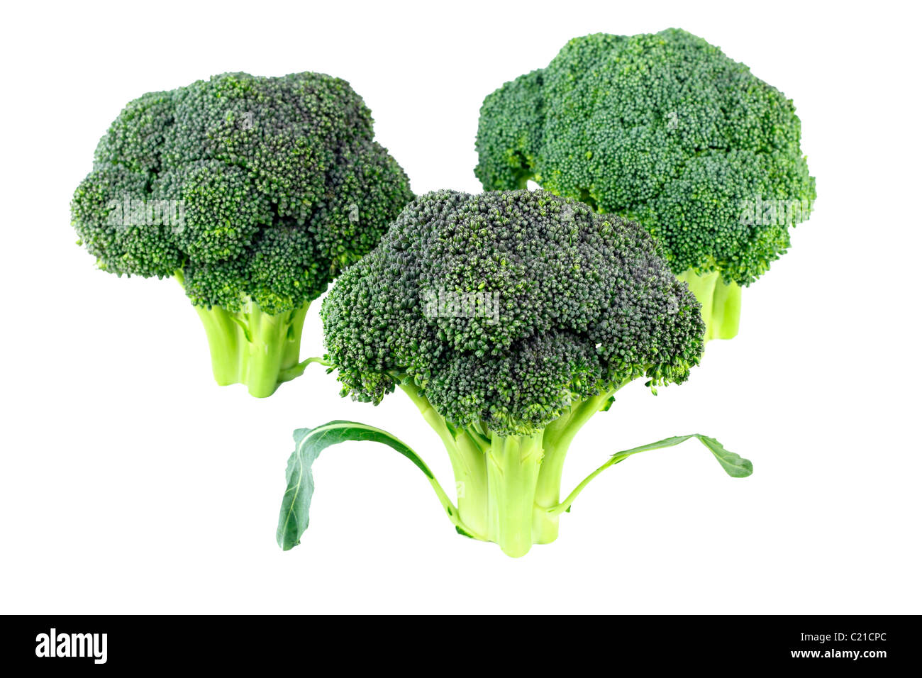 Aufrecht stehen drei rohe grüne blühende Stiele von diesem Gemüse, isoliert auf weiss. Ein paar dunkle grüne Brokkoli Köpfe stehend vor weiß Stockfoto
