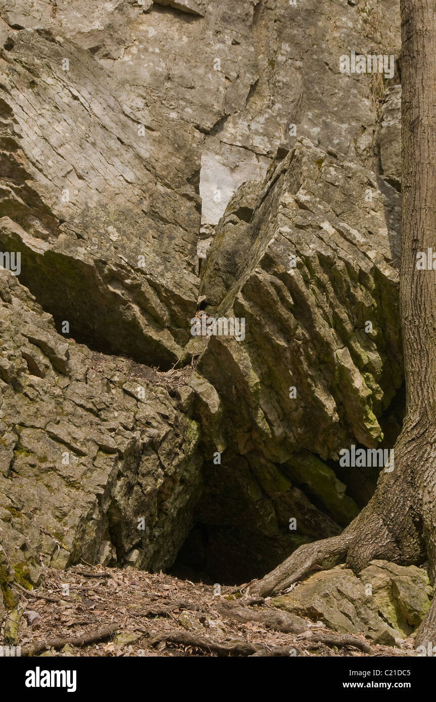 Loch im Boden für wildes Tier Stockfoto