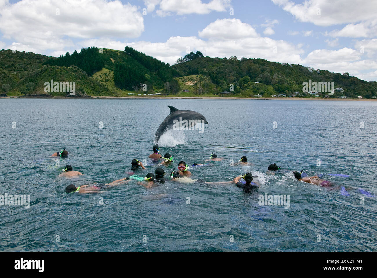 Kindern das Schwimmen mit Delfinen-Neuseeland Stockfoto