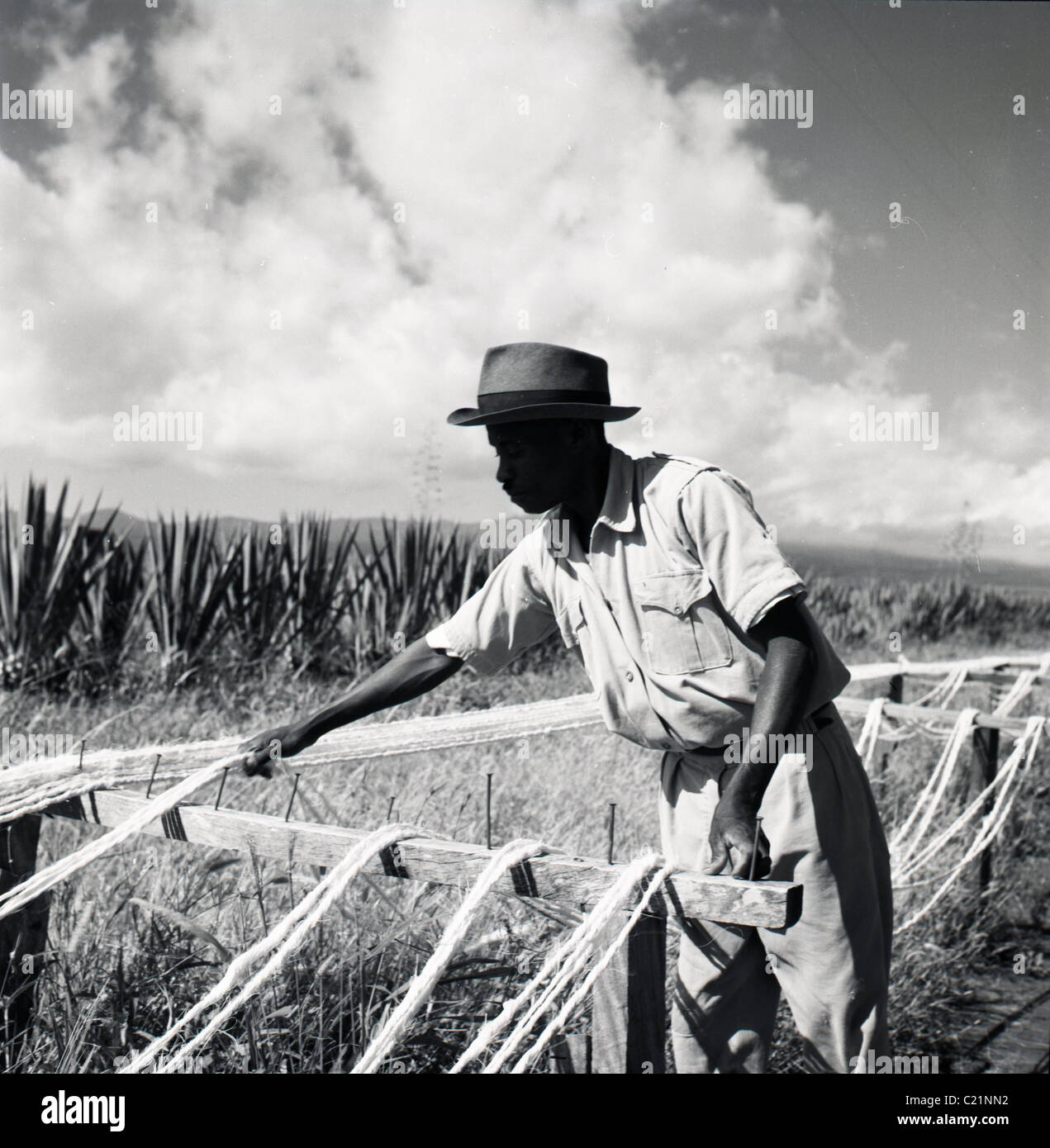 Tunesien, 1950er Jahre.  Tunesische Baumwolle Bauernhof Hilfsarbeiter, arbeiten seine Baumwolle Webstuhl in diesem historischen Bild von J Allan Cash. Stockfoto