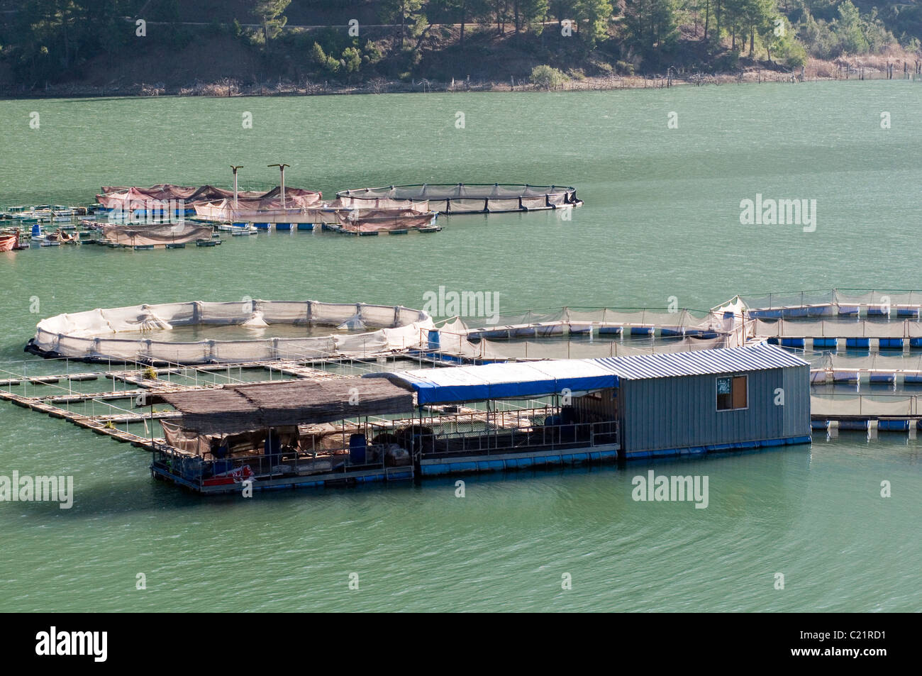 Fischzucht betrieben Landwirtschaft net Netze Käfig Käfige Wasser See Süßwasser-Aquakultur Aqua-Kultur auf Kargi See in der Türkei in der Nähe von antalya Stockfoto