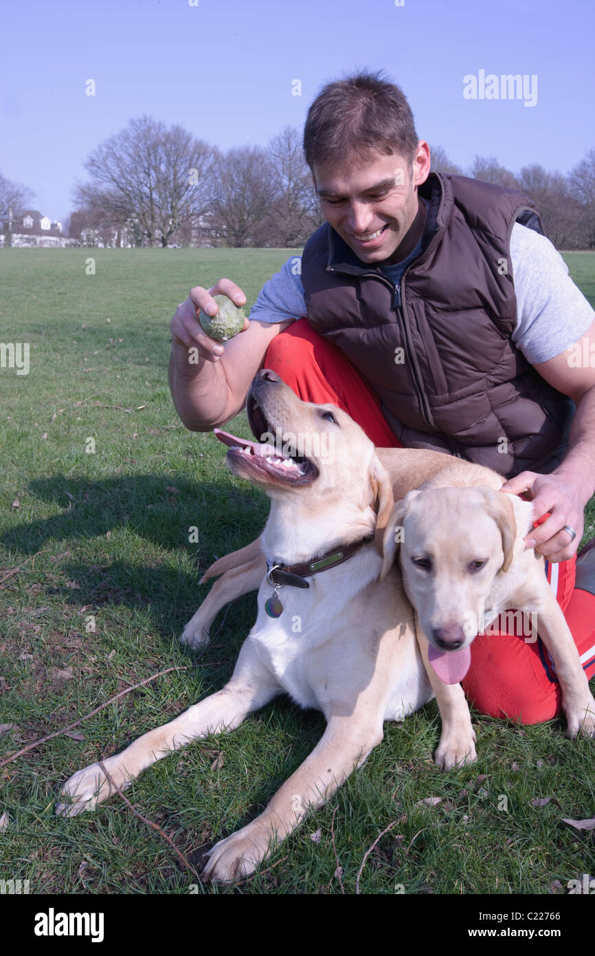 Ein Mann und seine beiden Hunde im park Stockfoto