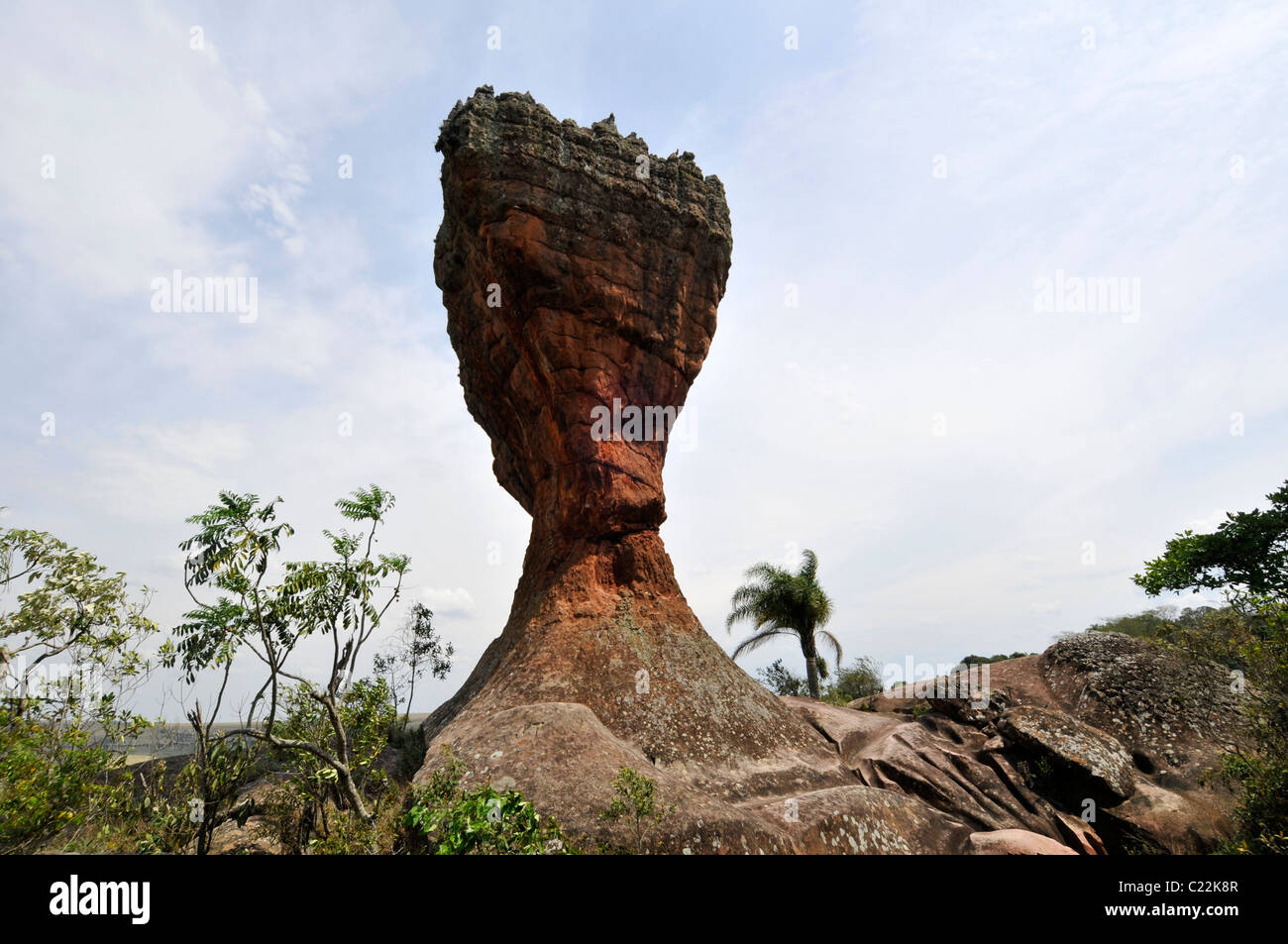 "O Calice' - Becher, Sandsteinformation, Vila Velha Staatspark, Ponta Grossa, Paraná, Brasilien Stockfoto