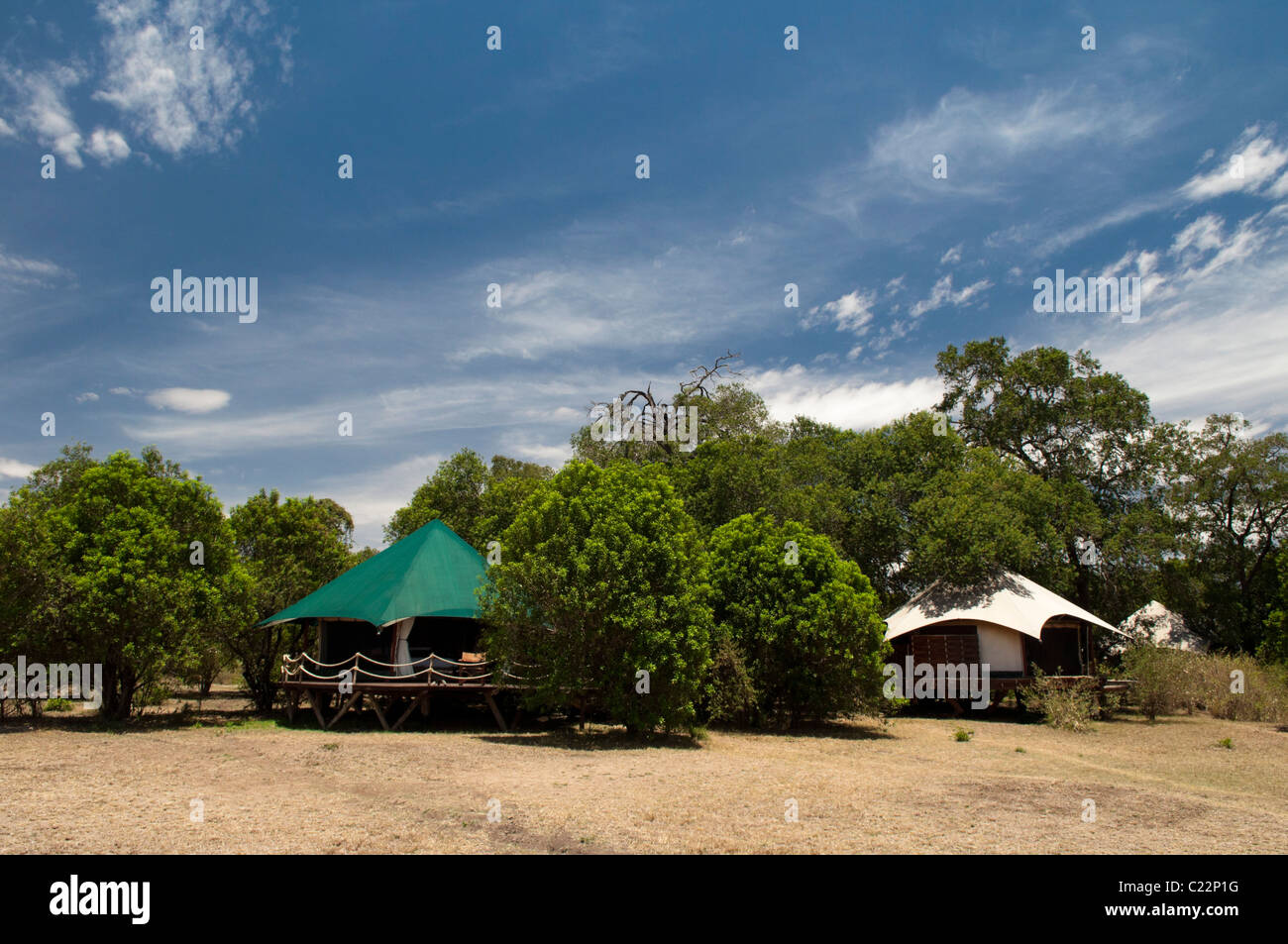 Mara Plains Tented Camp, Masai Mara, Kenia. Stockfoto