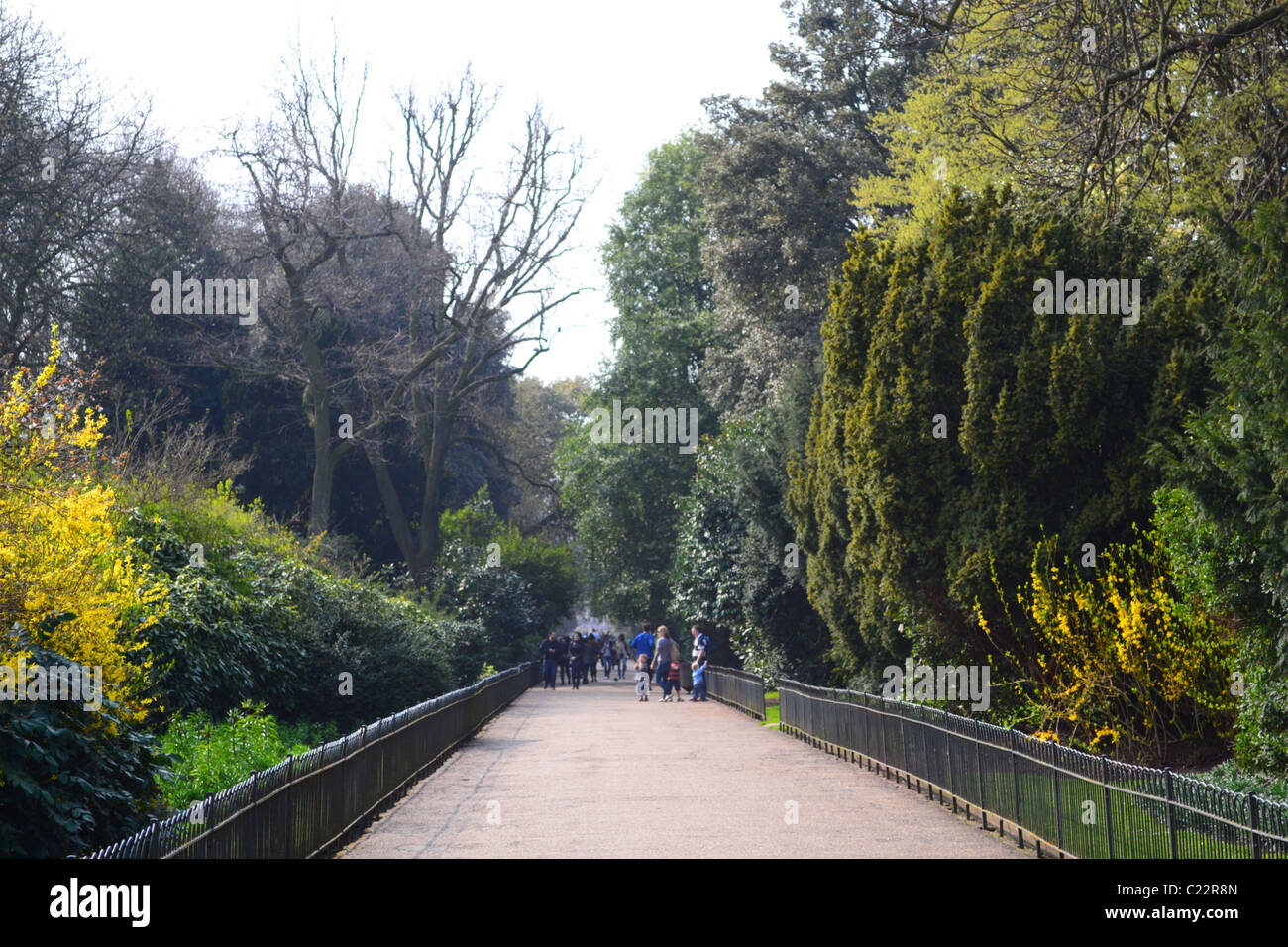 Kensington Gardens im März, London ARTIFEX LUCIS Stockfoto