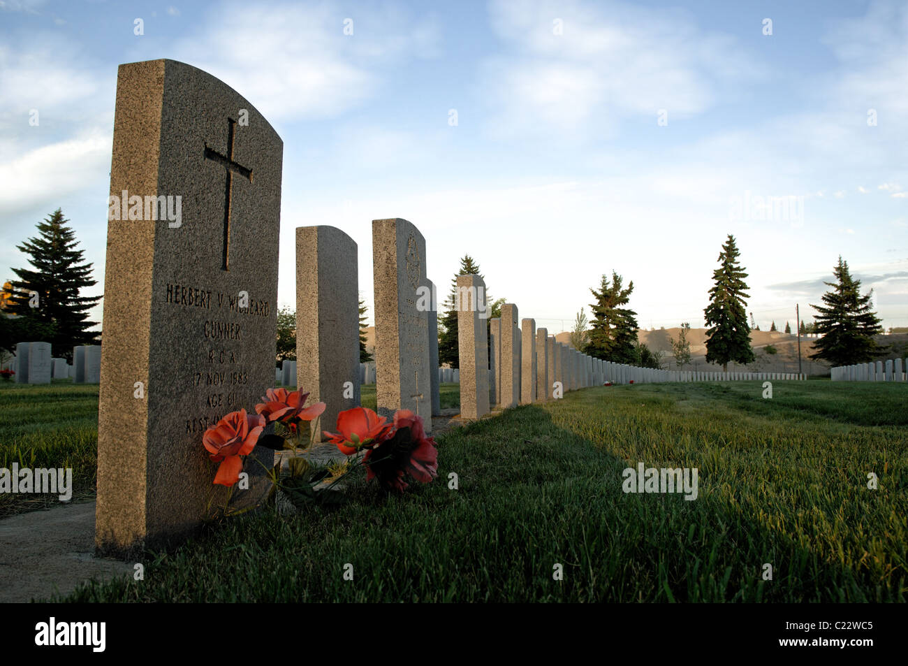 Grabsteine auf dem Burnsland Militär Friedhof, Calgary, Alberta, Kanada Stockfoto