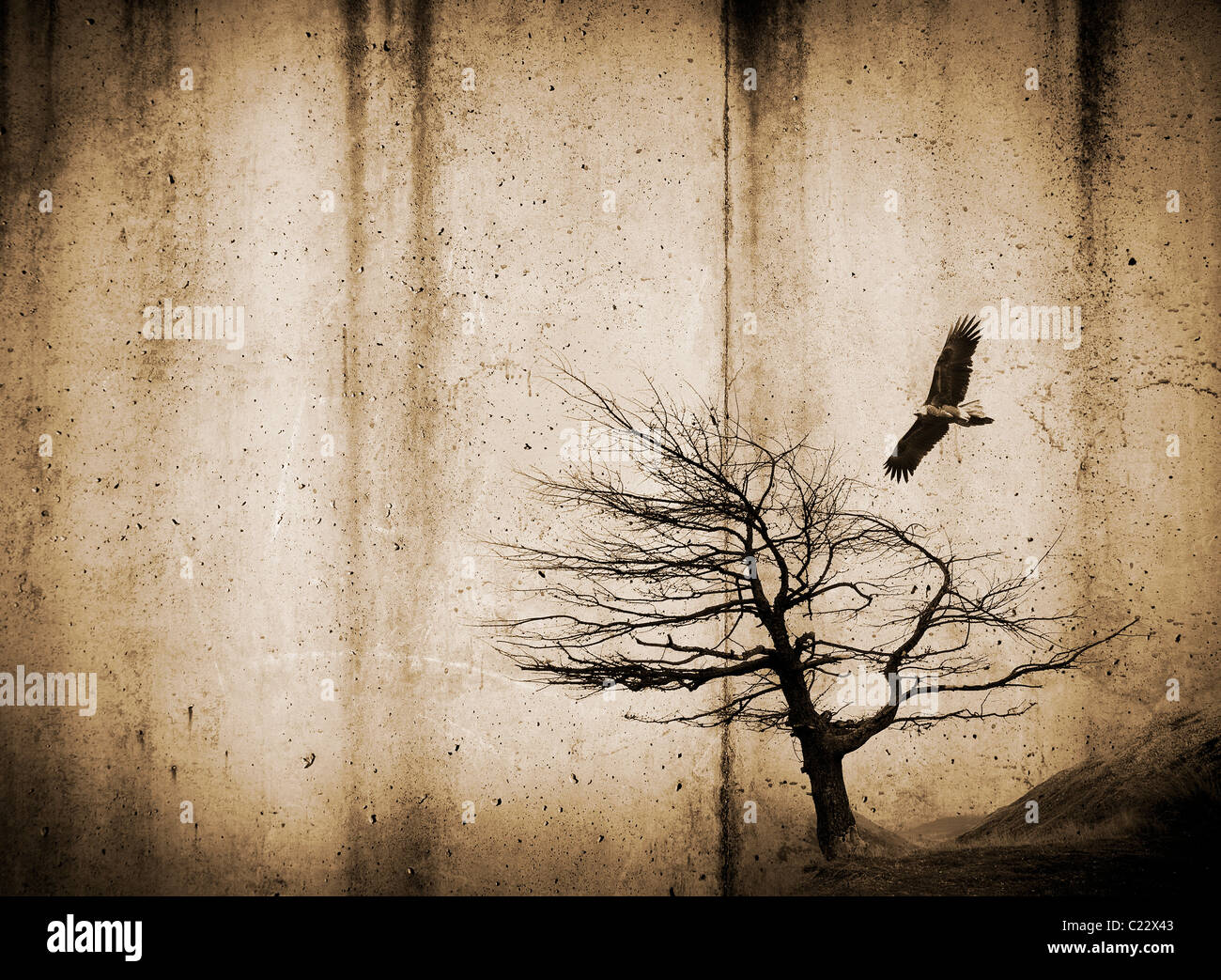 Grunge-Stil-Texturen mit Flecken und Baum und Vogel Stockfoto