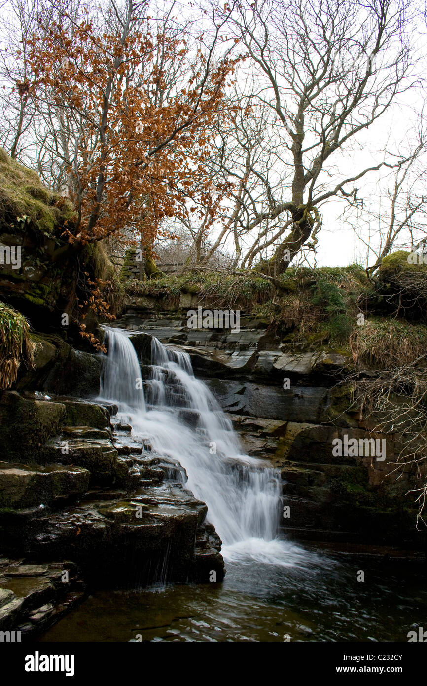 Wasserfall bei Ashgill in der Nähe von Alston, Cumbria in den North Pennines AONB Stockfoto