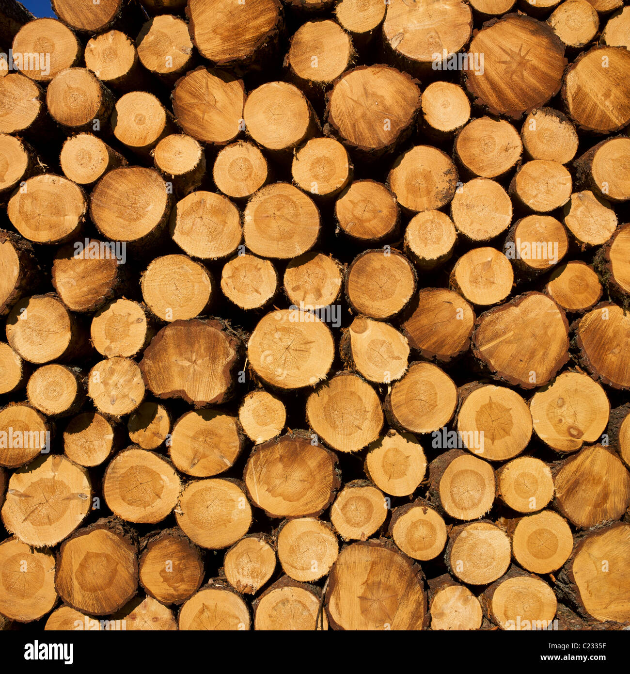 Stapel von Stückholz. Stockfoto
