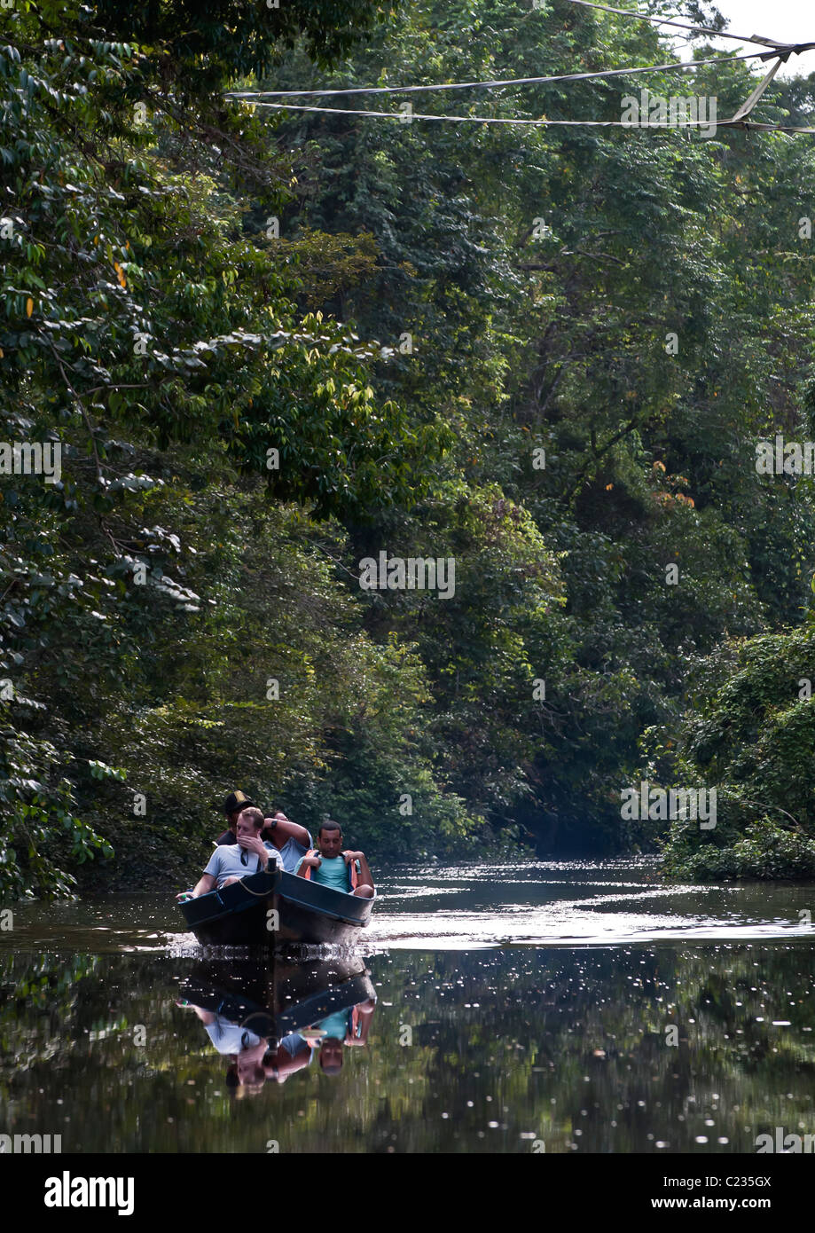 Touristen Rubrik flussaufwärts auf der Suche nach Wildtieren auf der Kinabatangan Fluss, Sabah, Borneo. Stockfoto